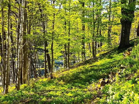 516 W Salisbury Road Salisbury NH 03268