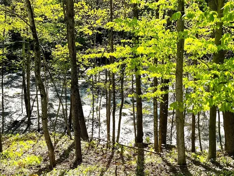 516 W Salisbury Road Salisbury NH 03268