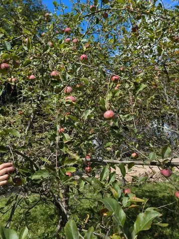 516 W Salisbury Road Salisbury NH 03268