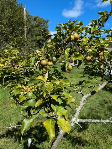 516 W Salisbury Road Salisbury NH 03268