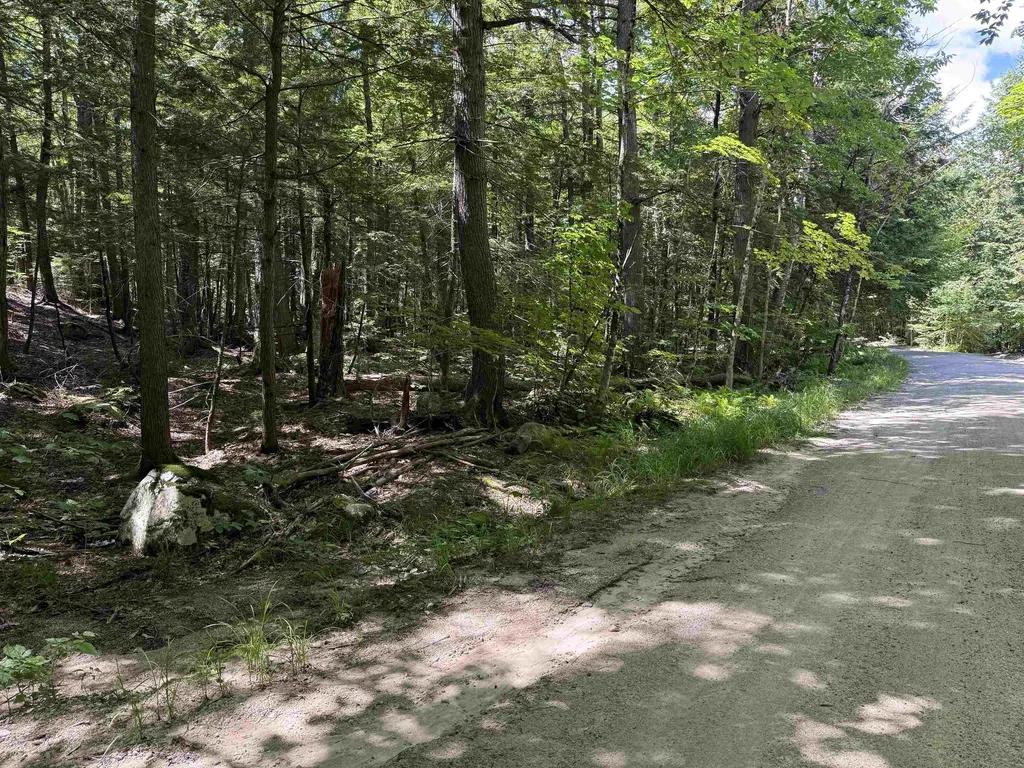 52 Appenvel Way Madison NH 03849