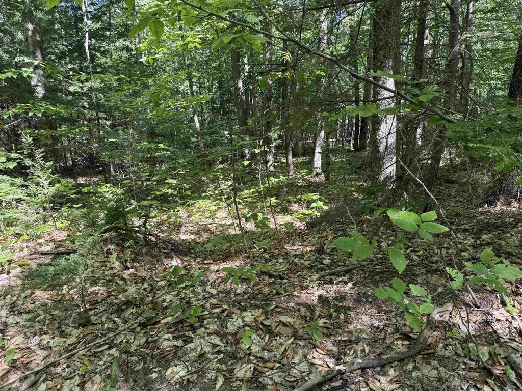 52 Appenvel Way Madison NH 03849