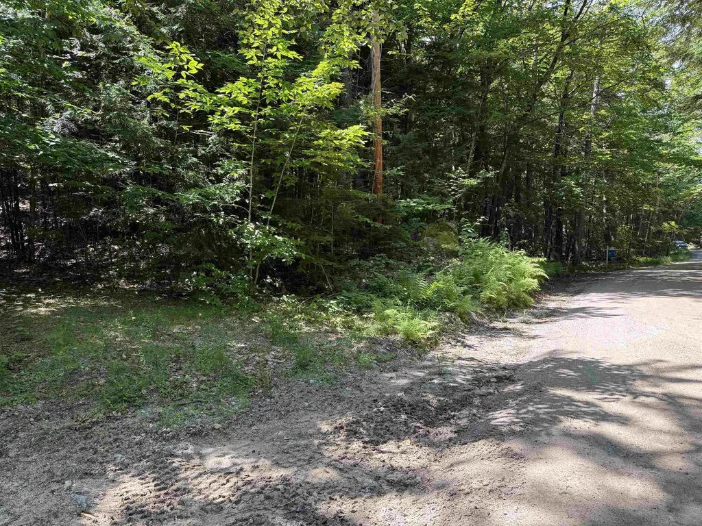 52 Appenvel Way Madison NH 03849
