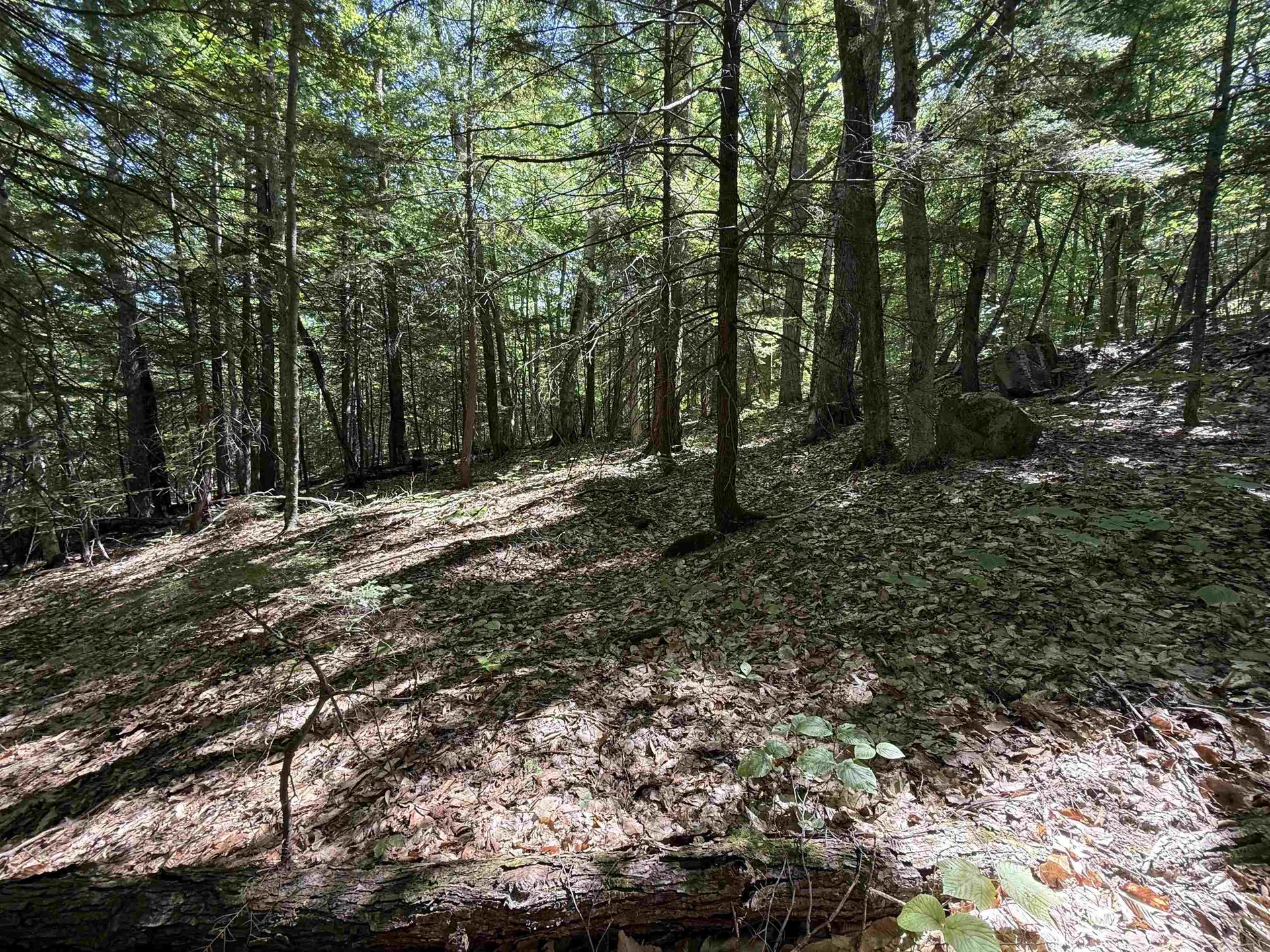 52 Appenvel Way Madison NH 03849