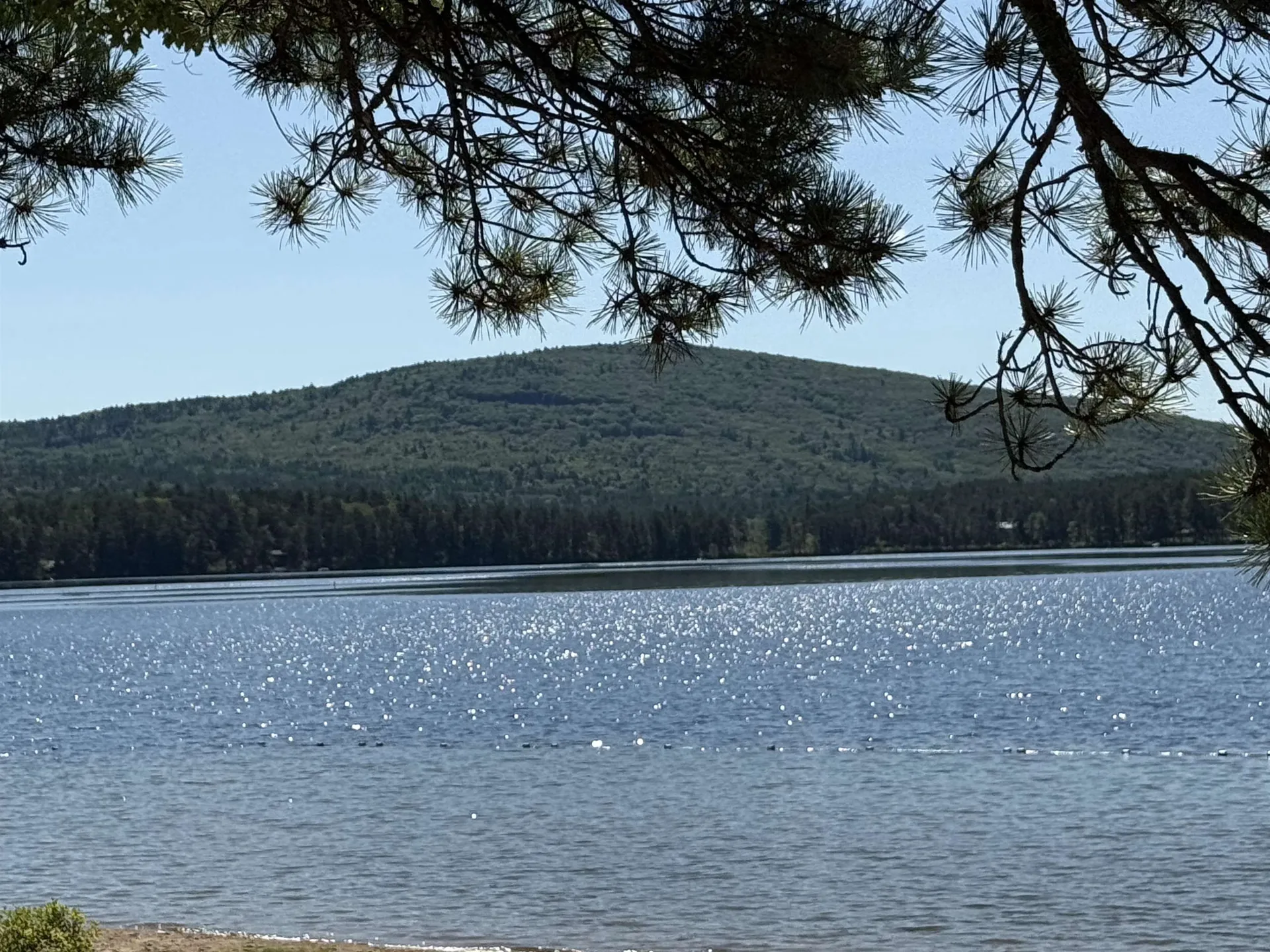 52 Appenvel Way Madison NH 03849