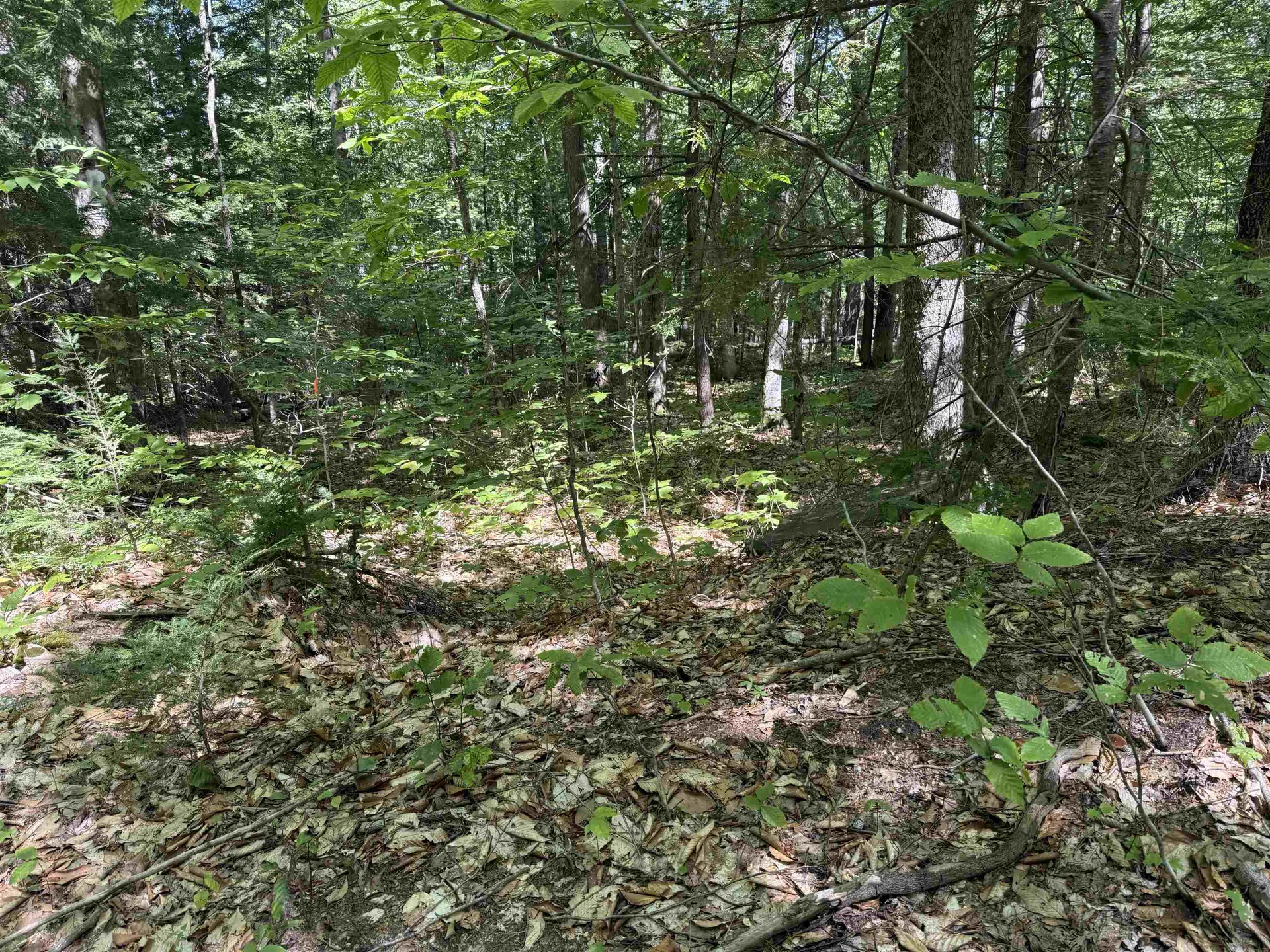 52 Appenvel Way Madison NH 03849