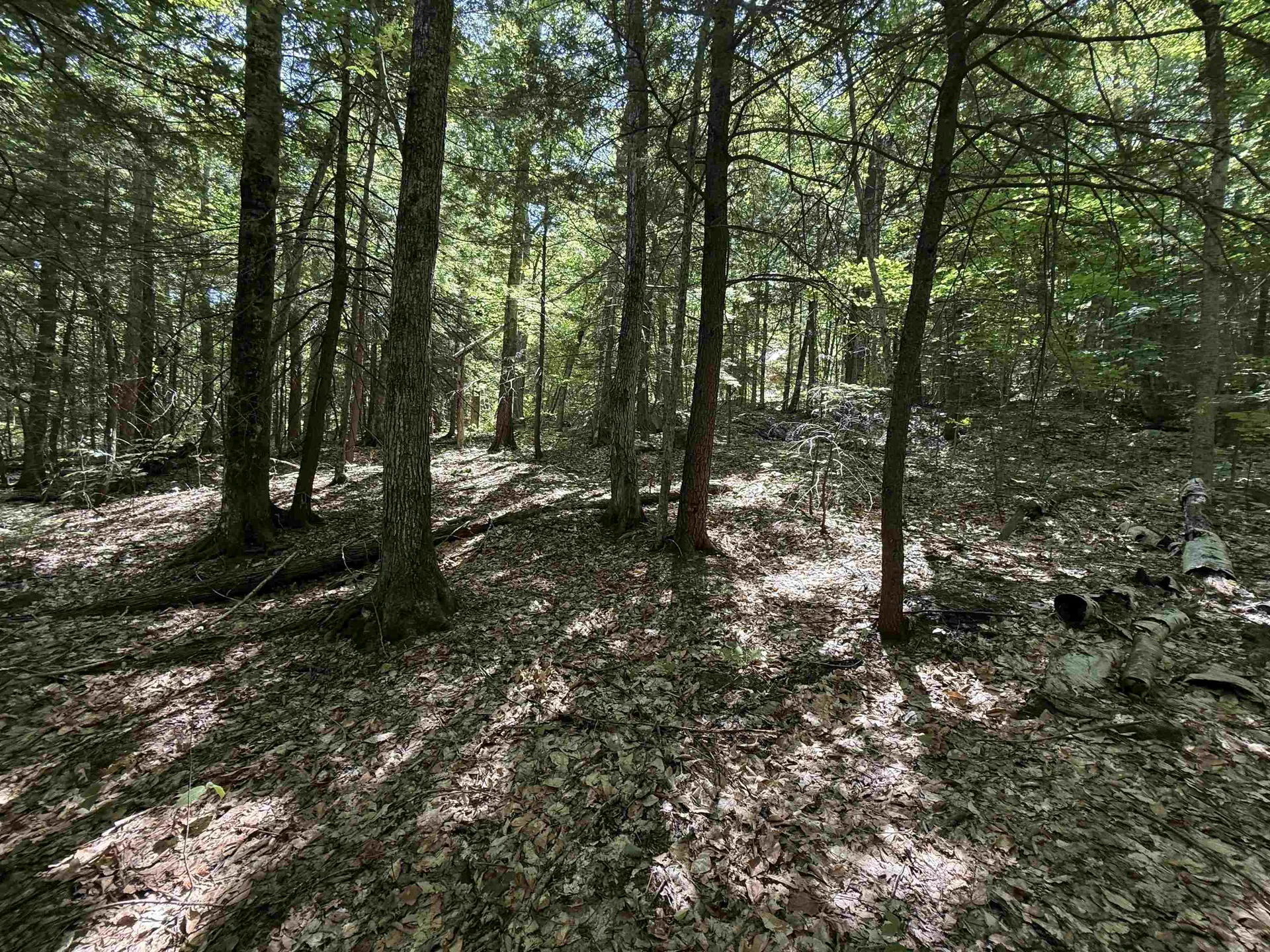 52 Appenvel Way Madison NH 03849