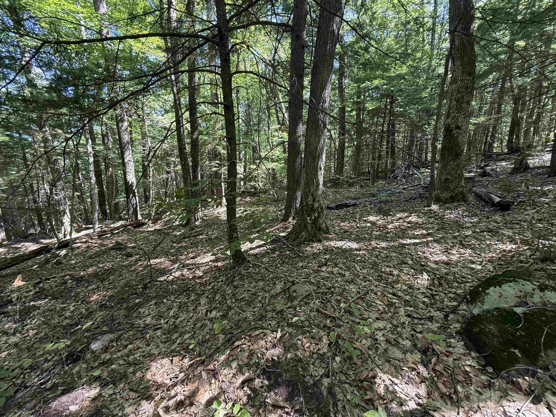 52 Appenvel Way Madison NH 03849