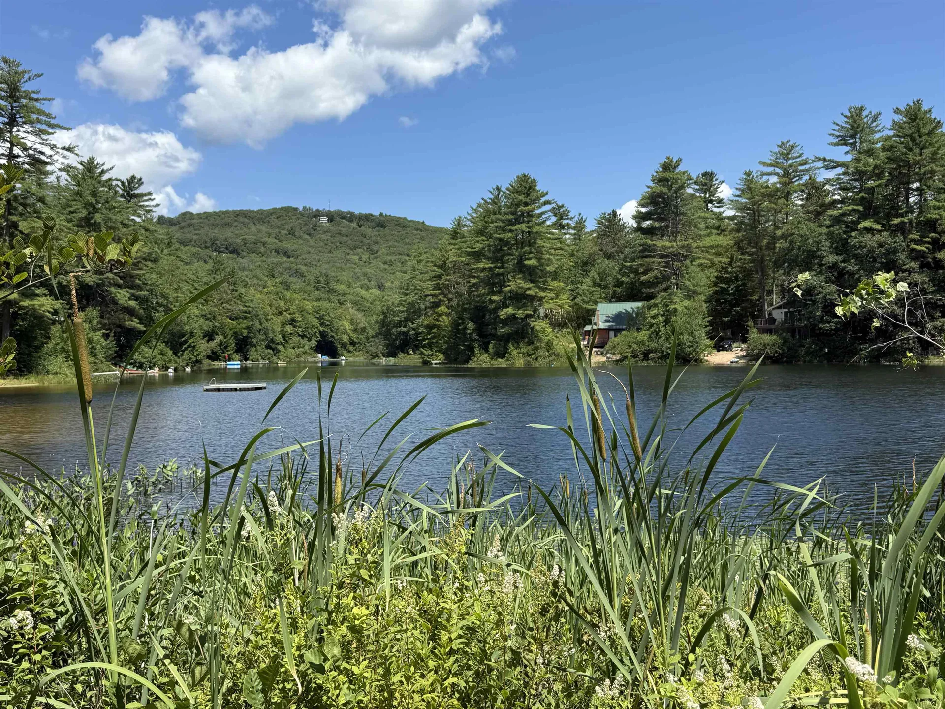 52 Appenvel Way Madison NH 03849