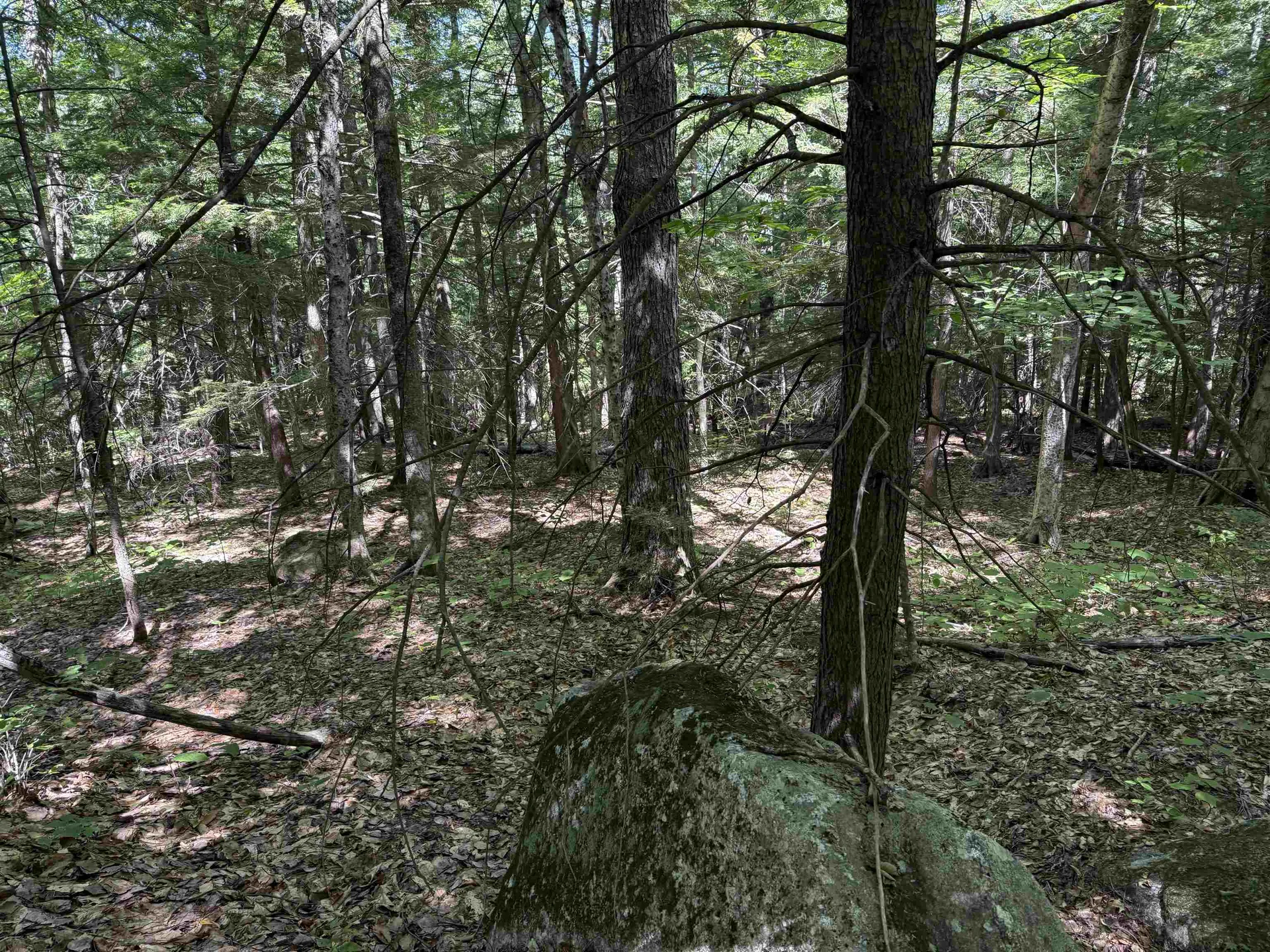 52 Appenvel Way Madison NH 03849