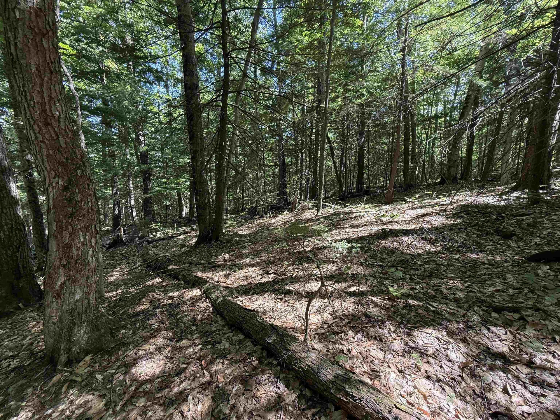 52 Appenvel Way Madison NH 03849