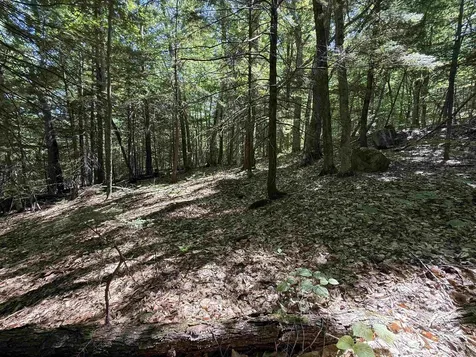 52 Appenvel Way Madison NH 03849