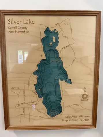 52 Appenvel Way Madison NH 03849