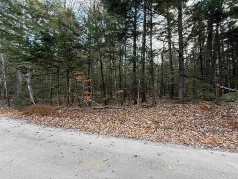 52 Appenvel Way Madison NH 03849