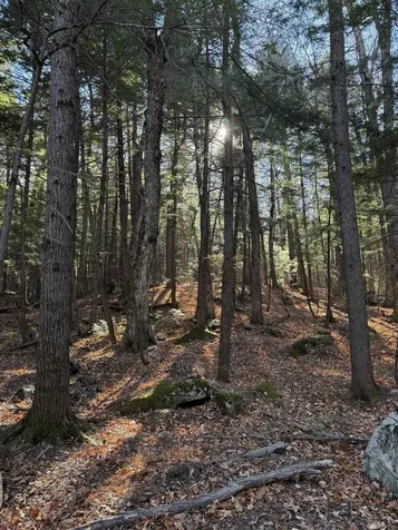 52 Appenvel Way Madison NH 03849