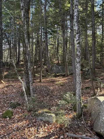 52 Appenvel Way Madison NH 03849