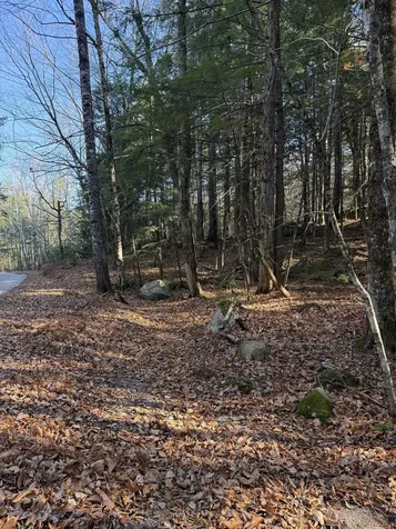 52 Appenvel Way Madison NH 03849