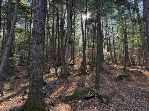 52 Appenvel Way Madison NH 03849