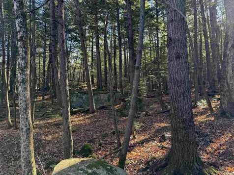 52 Appenvel Way Madison NH 03849