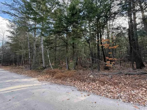 52 Appenvel Way Madison NH 03849