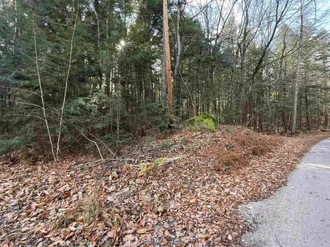 52 Appenvel Way Madison NH 03849