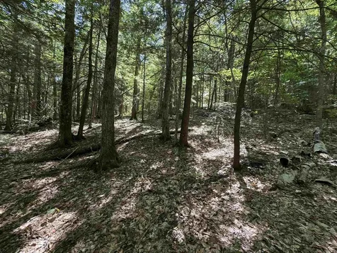 52 Appenvel Way Madison NH 03849