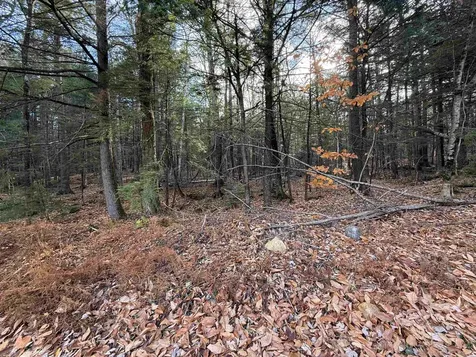 52 Appenvel Way Madison NH 03849