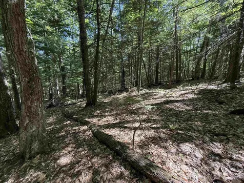 52 Appenvel Way Madison NH 03849