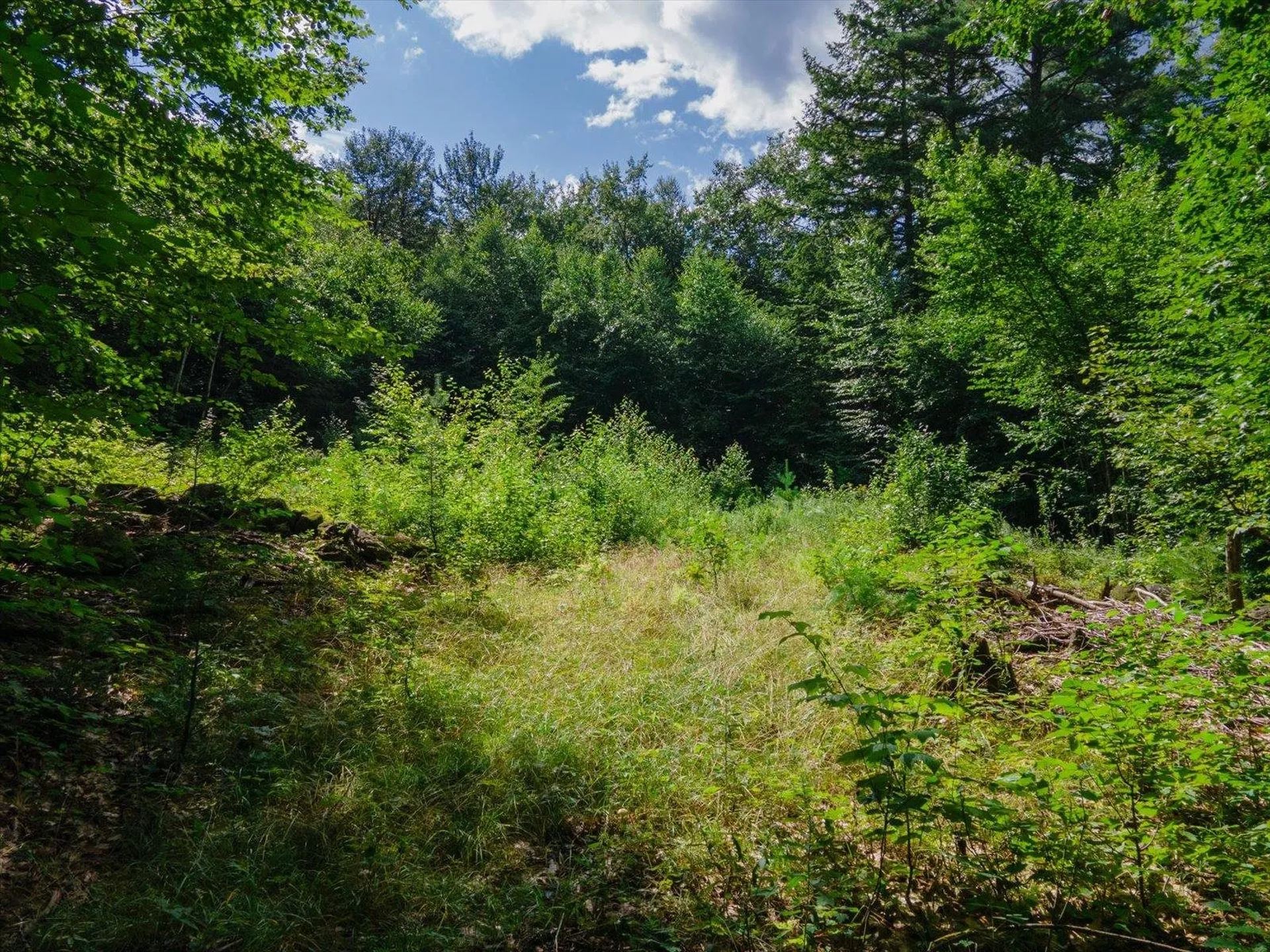 Cobb Meadow Road Dublin NH 03444