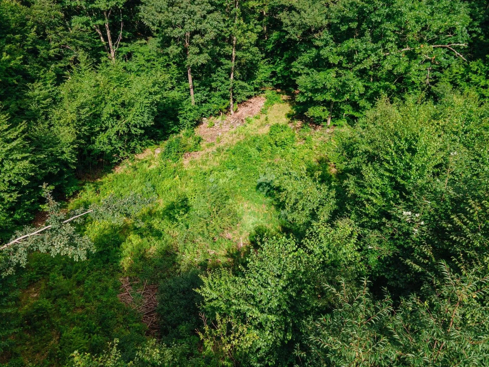 Cobb Meadow Road Dublin NH 03444