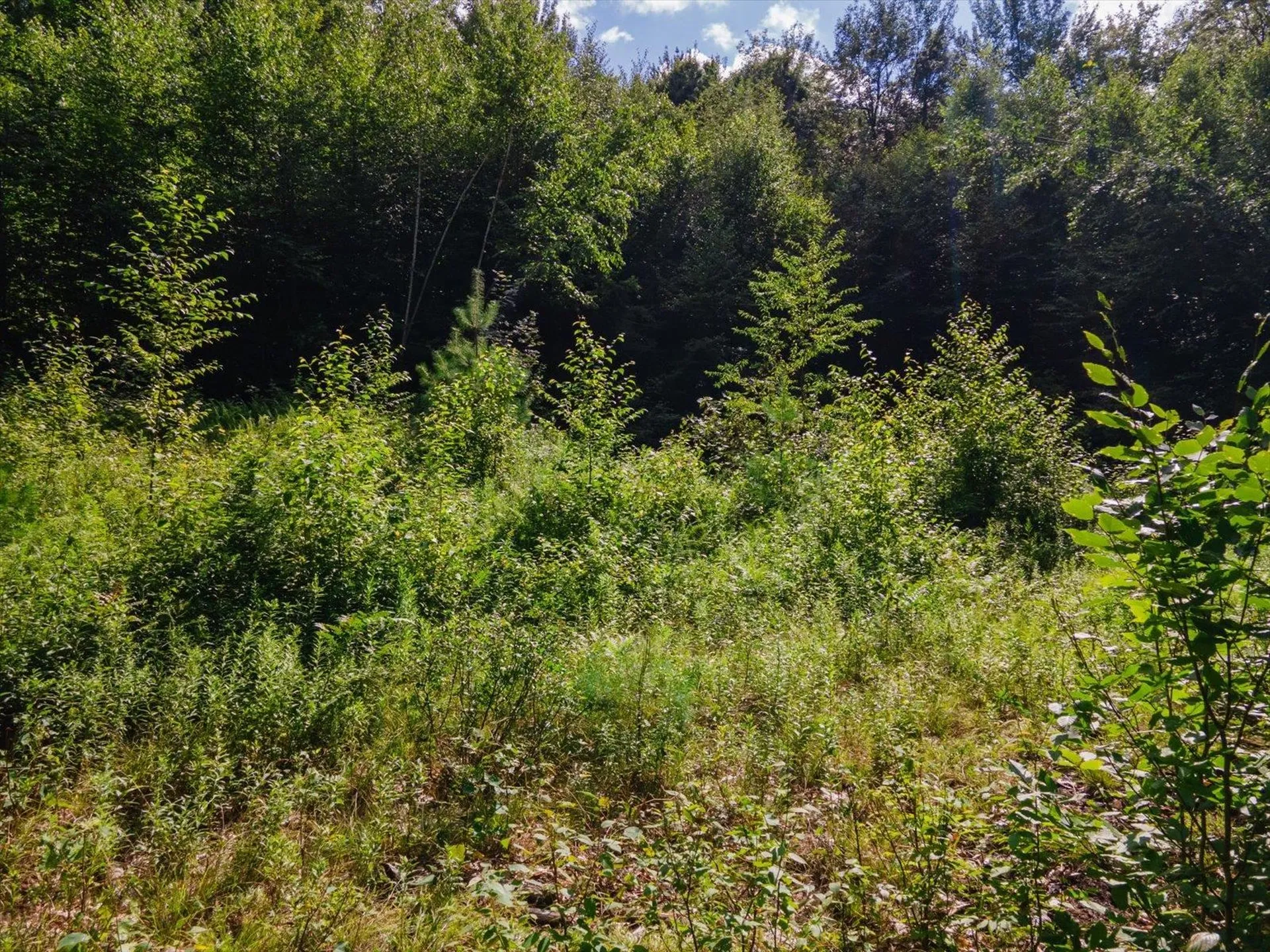 Cobb Meadow Road Dublin NH 03444