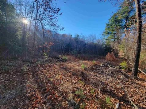 Cobb Meadow Road Dublin NH 03444