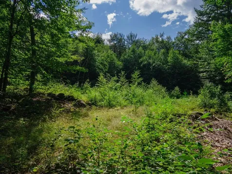 Cobb Meadow Road Dublin NH 03444