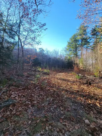 Cobb Meadow Road Dublin NH 03444