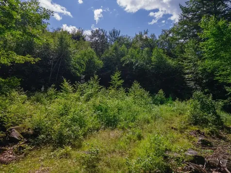 Cobb Meadow Road Dublin NH 03444
