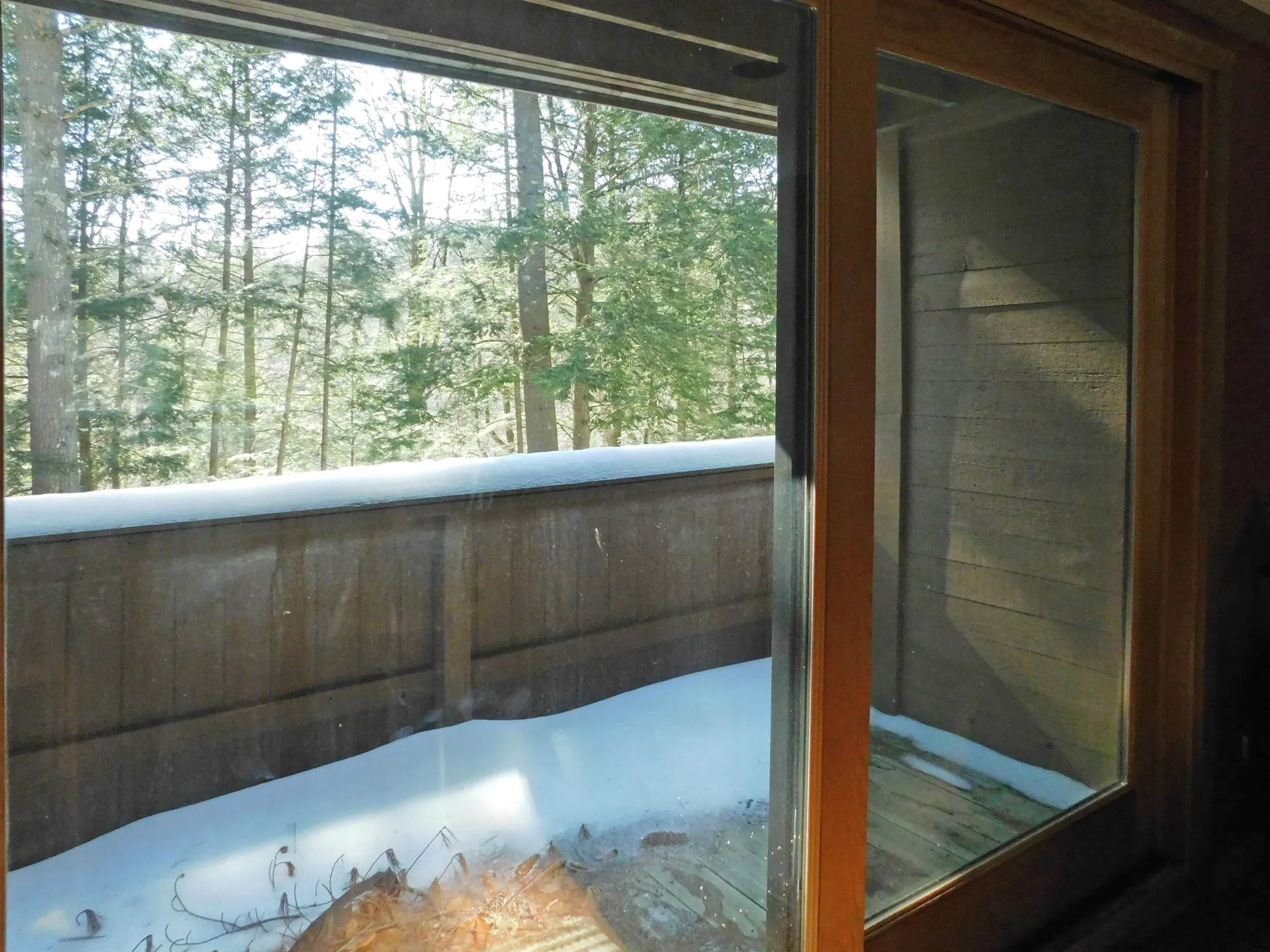 54 Timberline Drive Warren VT 05674