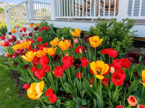 244a Midland Avenue South Burlington VT 05403