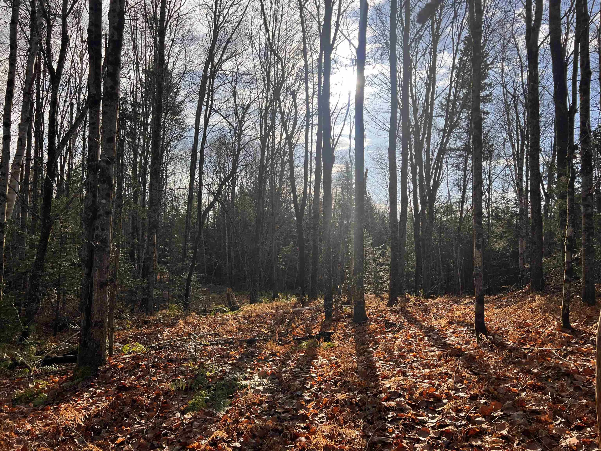 00 Sunrise Acres Drive Lunenburg VT 05906