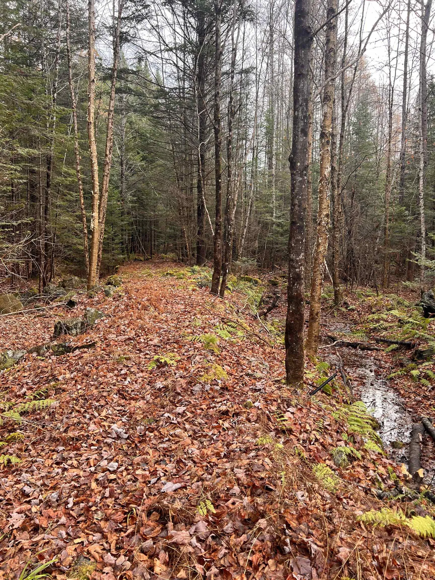 00 Sunrise Acres Drive Lunenburg VT 05906