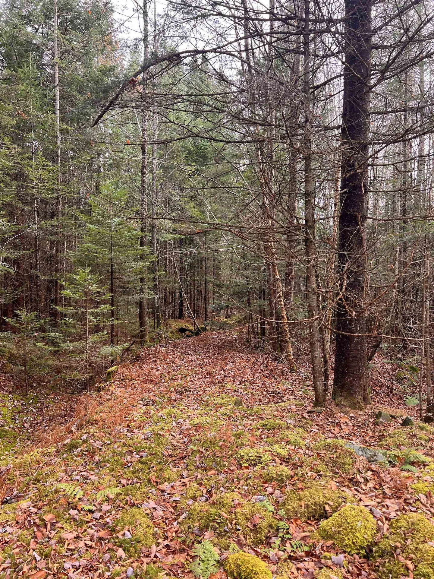 00 Sunrise Acres Drive Lunenburg VT 05906