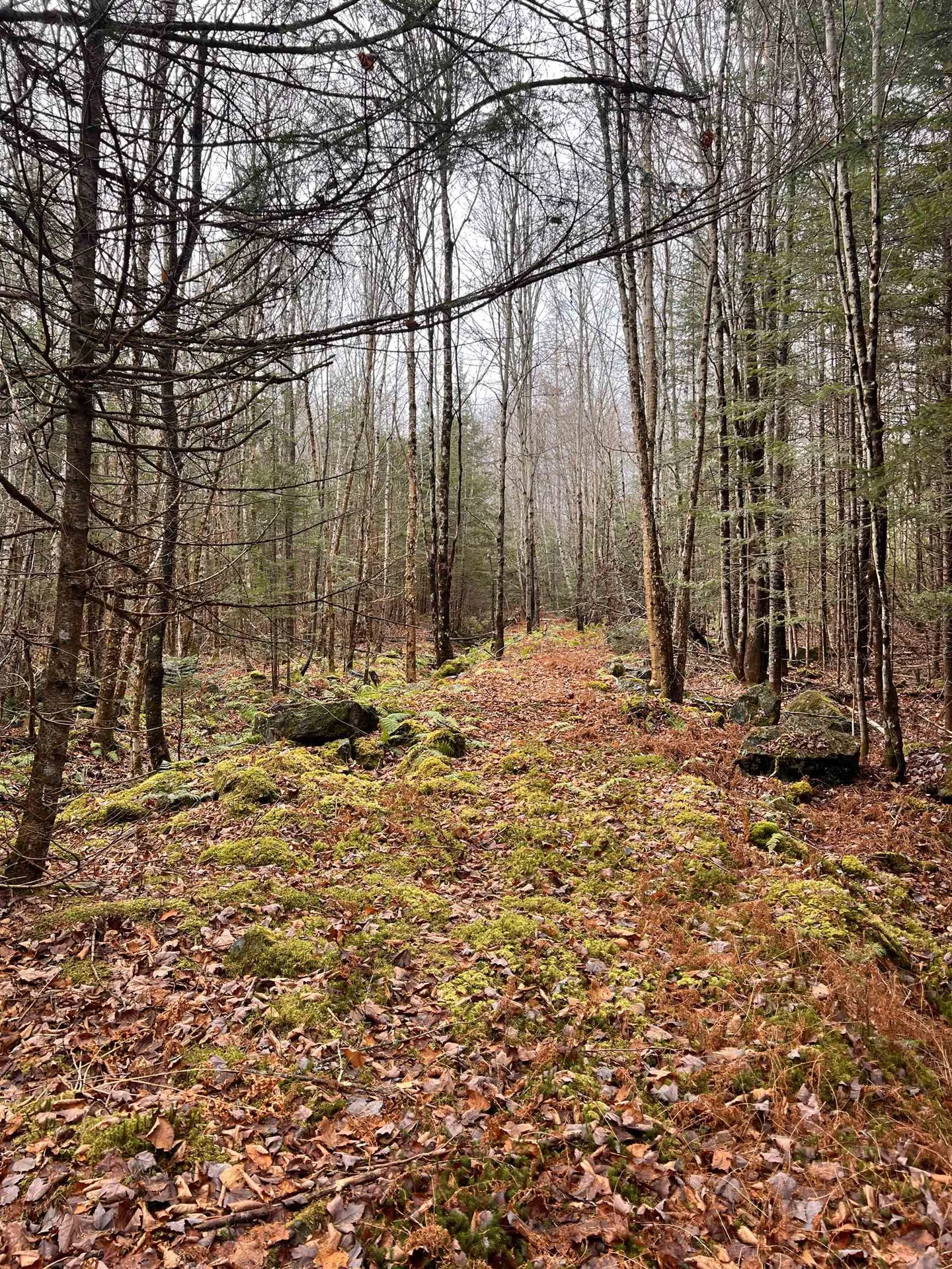 00 Sunrise Acres Drive Lunenburg VT 05906