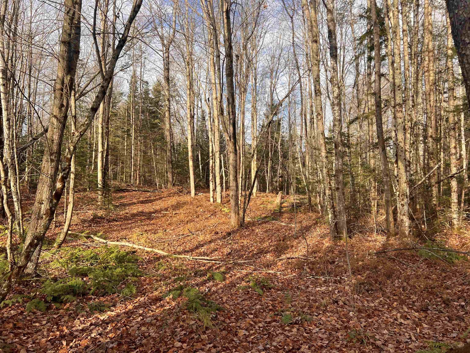 00 Sunrise Acres Drive Lunenburg VT 05906