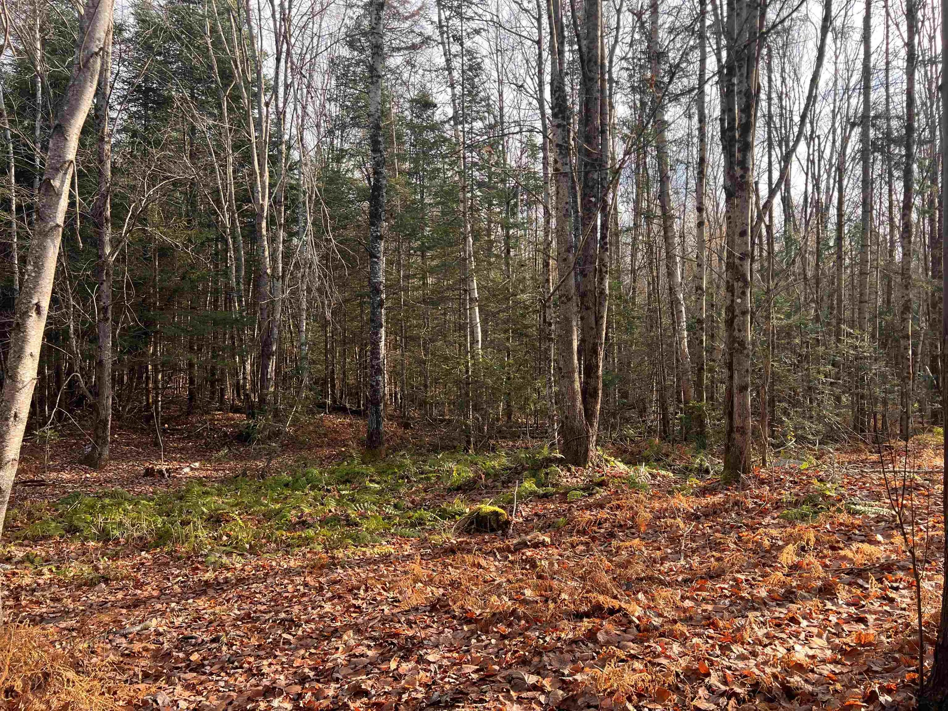 00 Sunrise Acres Drive Lunenburg VT 05906