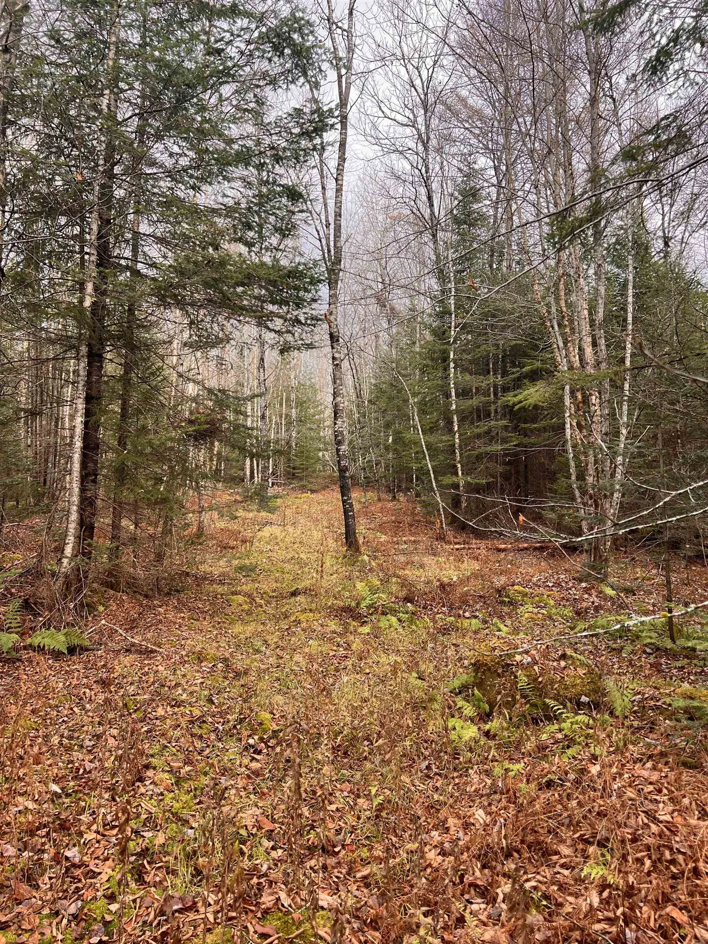 00 Sunrise Acres Drive Lunenburg VT 05906