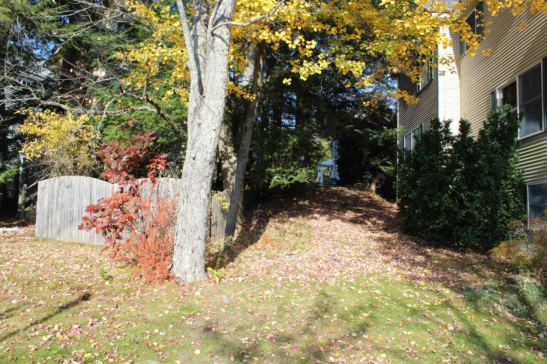 46 Lake Avenue Newbury NH 03255