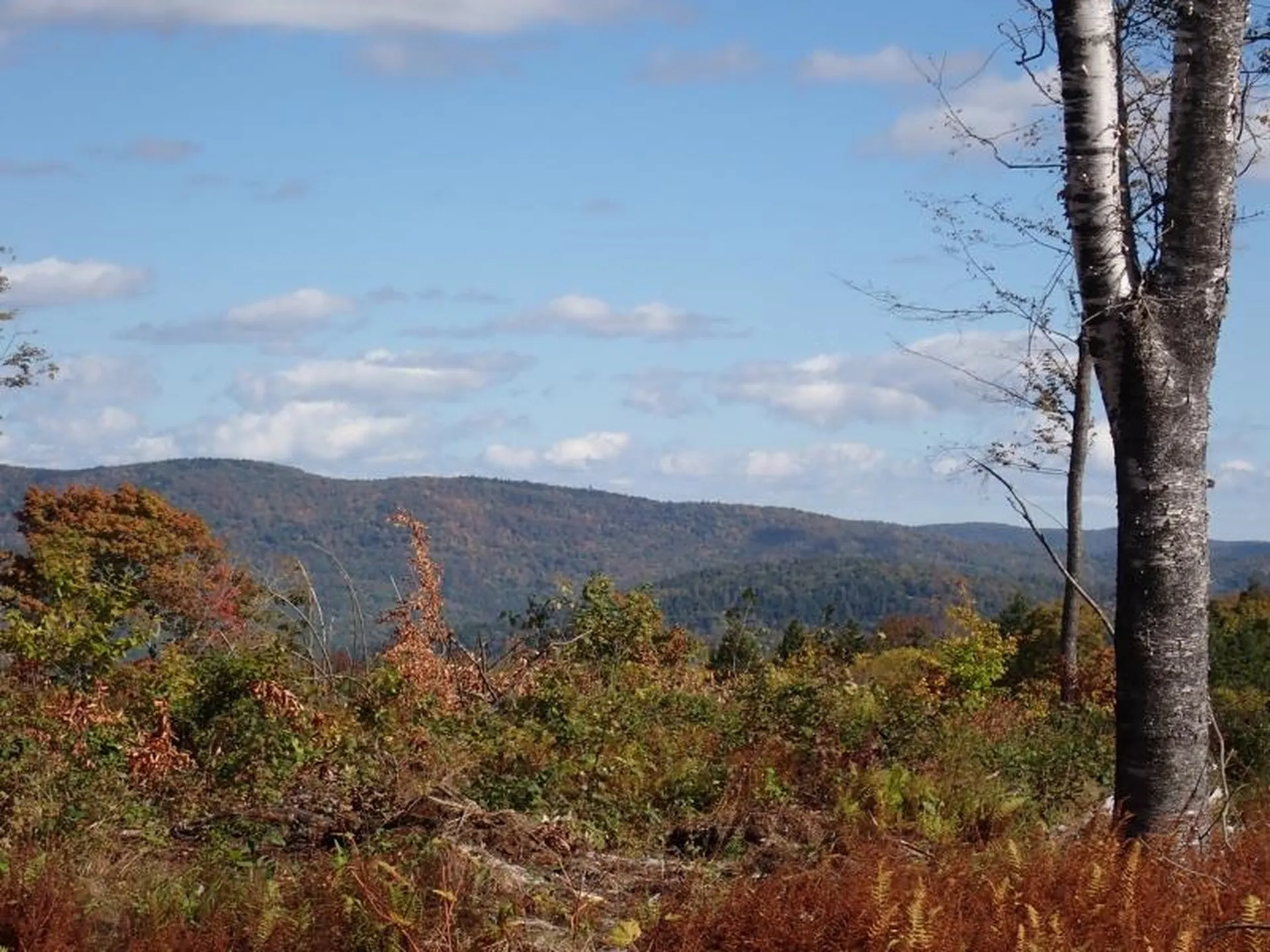 West Hill Road Jamaica VT 05343