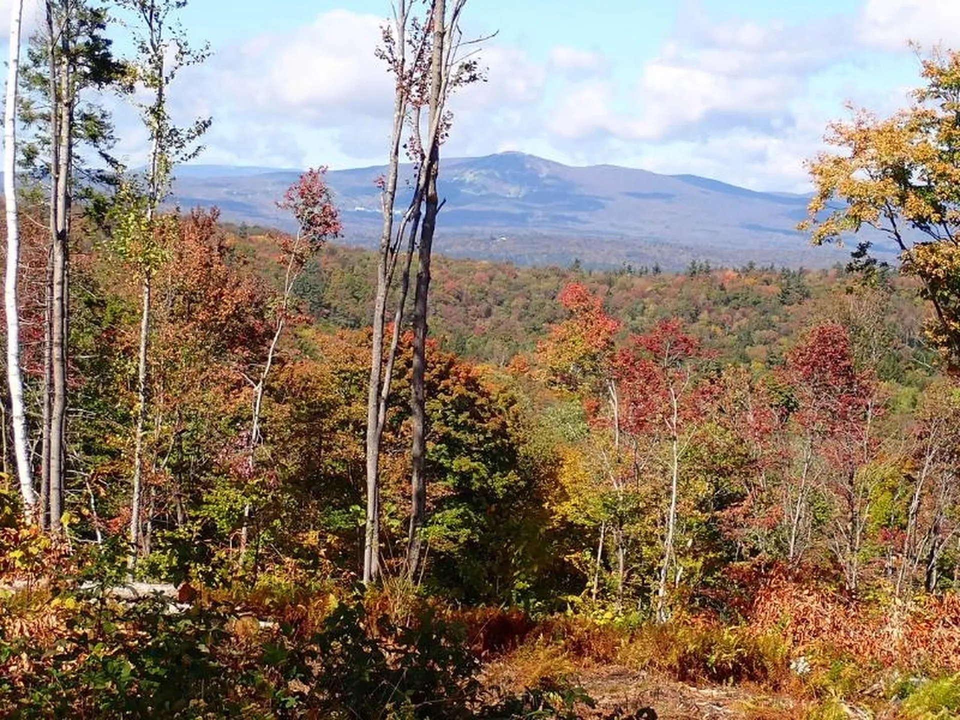 West Hill Road Jamaica VT 05343