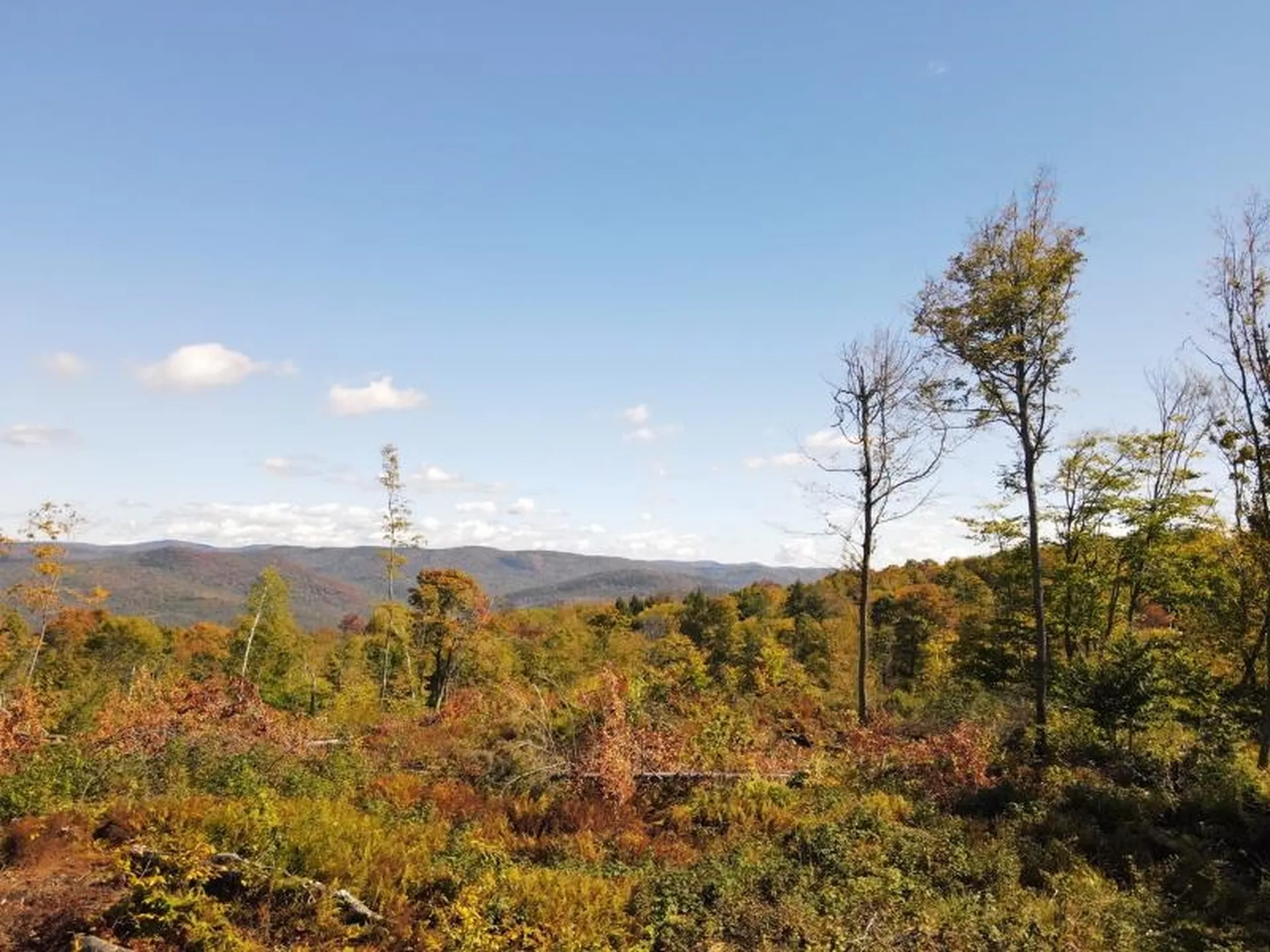 West Hill Road Jamaica VT 05343