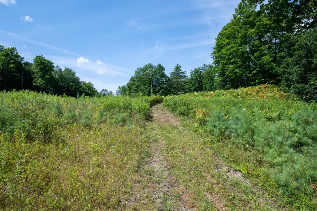 5734 Vt Route 11 Londonderry VT 05148