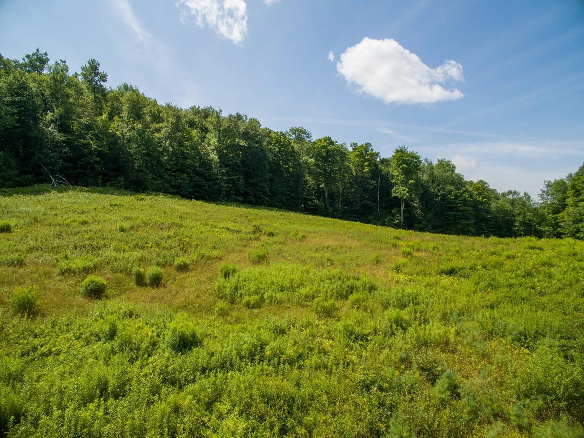 5734 Vt Route 11 Londonderry VT 05148